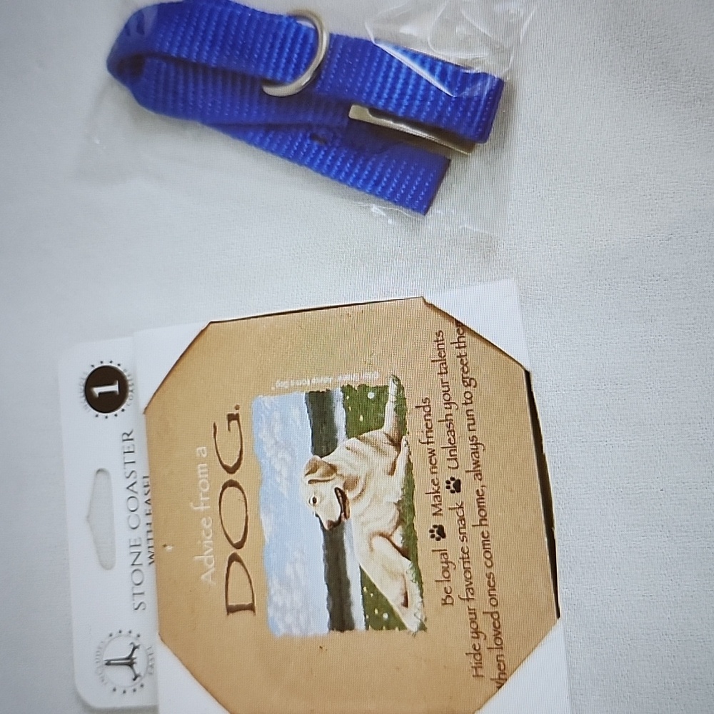 DOG -STONE COASTER with Easel and Nylon Collar